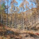 공공용 74 이미지