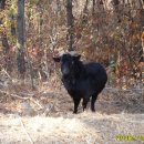 사라골농장 이미지