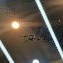 진도자동차유리 이미지