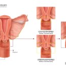 경부