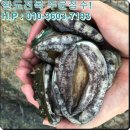 완도전복 이미지