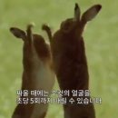 방배로 46 네이버블로그