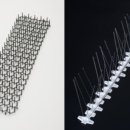 엄팩토리 이미지