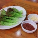 메밀꽃돼지 이미지