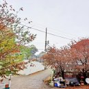 소망민박 이미지