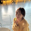 대리2길R | 24년 10월의 제주 기록 (각종 맛집 카페, 느링느링스테이 숙소, 금데기 횟집 - 다금바리)