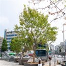 그늘막94 이미지