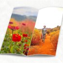 임진강(댑싸리공원)여행 이미지