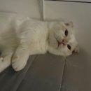 금비한의원 이미지