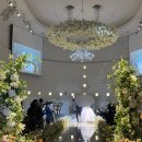 [Wedding] part1-4. 청주 메리다웨딩홀 홀 투어, 상담 견적 후기