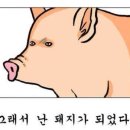 불날개불닭발 이미지