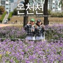 온천천시민공원 자전거대여소 | 부산 온천천 벚꽃 보라 유채꽃 자전거 무료 대여