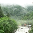 콩깍지민박 이미지