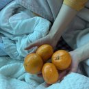 참숯가마골랜드 이미지