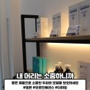 살롱더비앙
