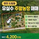 솔라공인중개사사무소 이미지