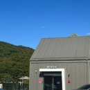 수지애견 이미지