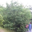 율천공원 이미지