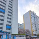 남천동 삼익비치아파트 216동 옆 | 부산 광안리 남천동 공영자전거 무료대여소 후기 (주말 나들이,데이트 코스로 딱!)