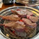 시드니램1901 이미지