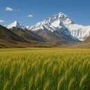 고원농장 이미지