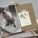 색연필화 | 인천 논현동 아르애미술학원 색연필화 원데이클래스 후기