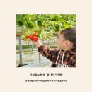 평궁길 | 북부아이사랑놀이터 무료 체험 활동 | 평택 팽성 딸기 따기 체험 | 가치있는농장