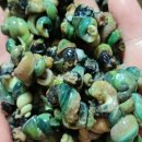 성진푸드 이미지