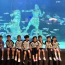 대전지족초등학교 이미지