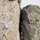 상창리-1 이미지