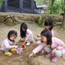 낭만에코파크 | 강화도 캠핑장 [낭만에코파크] 또 우중캠핑 후기(23.05.26~28)
