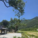 상2리 레프팅 도착지 이미지