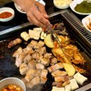 참돈오리