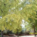 어유중학교 이미지