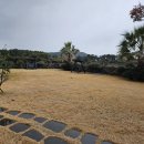 성산 일출봉 펜션 이미지