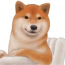 솔펫 동물병원 이미지