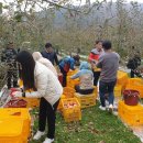 가평군 농업기술센터 이미지