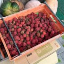 엄마손순대국뼈해장국 이미지