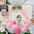 부산 벡스코, 반려동물박람회 다녀왔어요 (2016. 10/13~10/15)