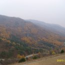 청산야영장 이미지