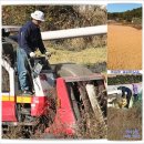 초천3리 이미지