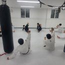 안양주짓수파크 이미지