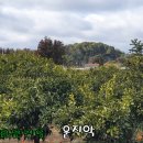 무성2리 이미지