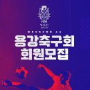 서울 망원 인조잔디 매주 토/일 오전 축구 팀원 모집 이미지