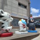 대관령도서관 이미지