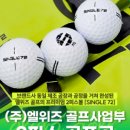 (주)엘위즈