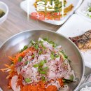 육일횟집 포항 물회 드라이브 울산 데이트 코스
