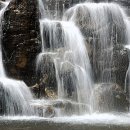 장미공원B 이미지