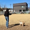 몽드드뚜뚜 이미지