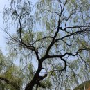 소양댐시민숲공원 이미지